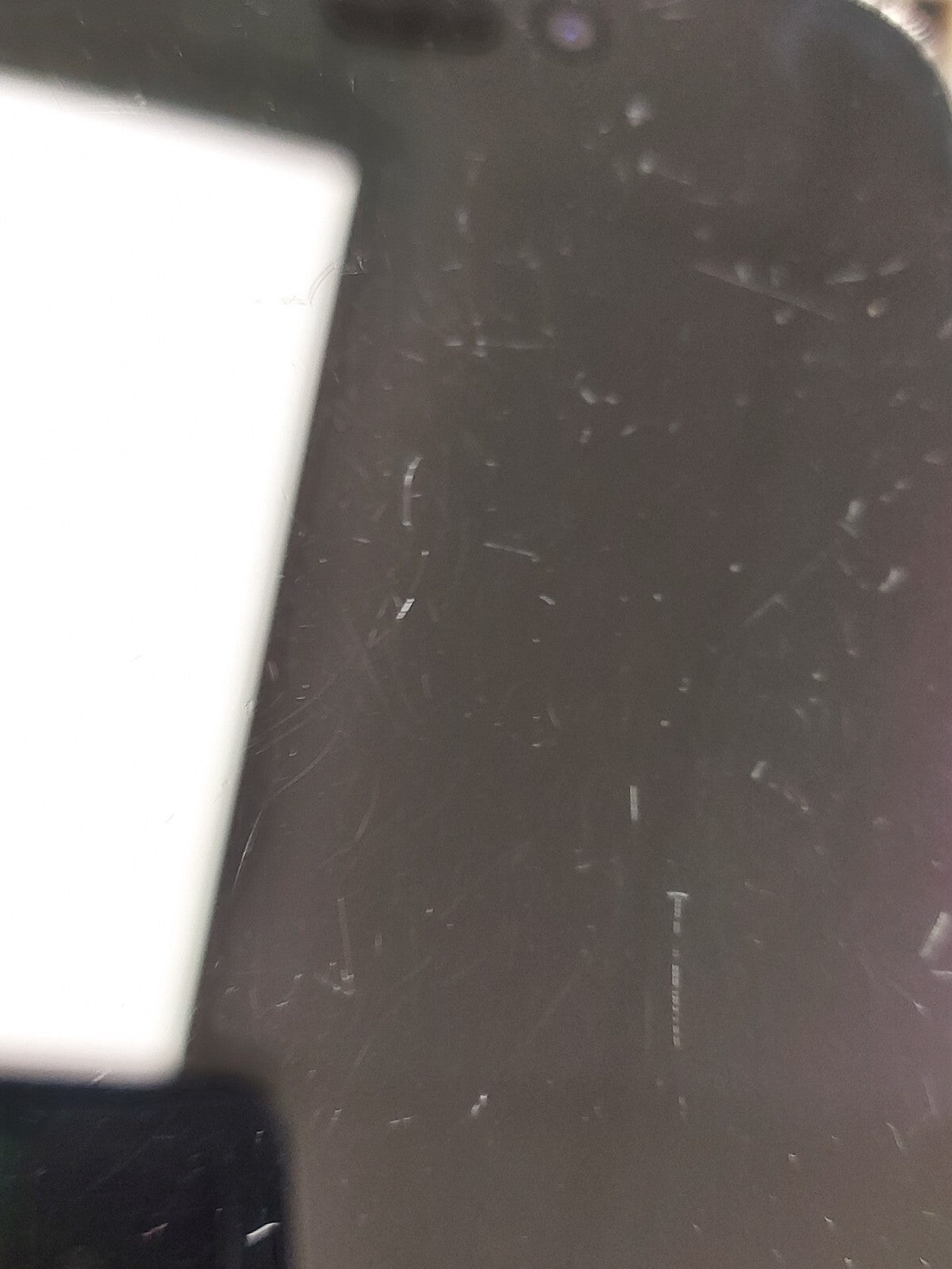 44543159