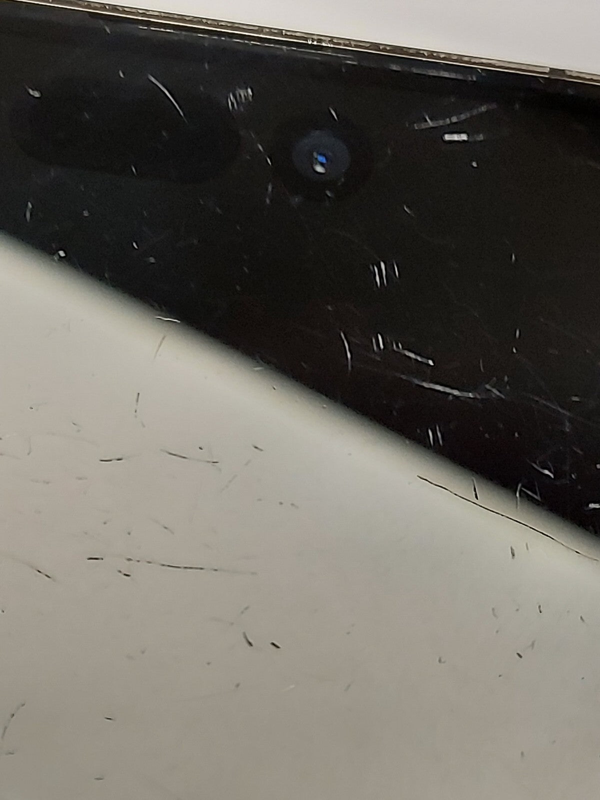 44543159
