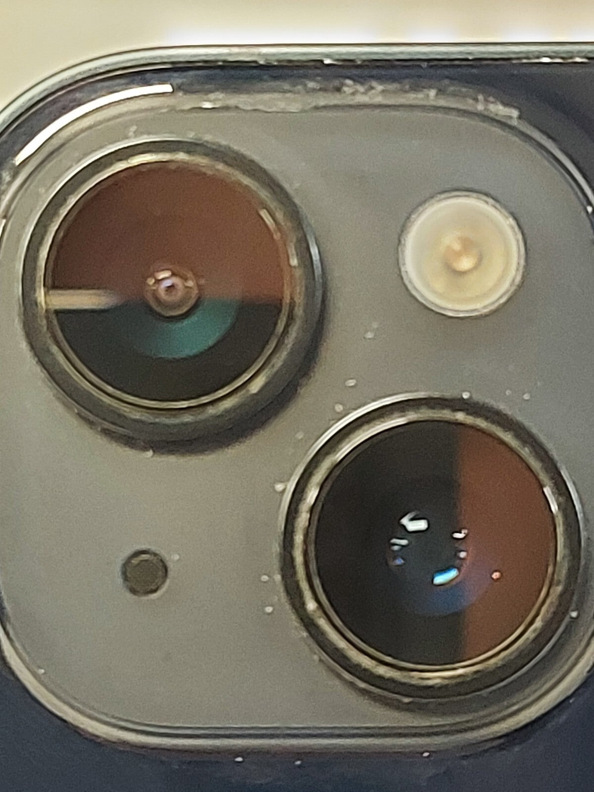 44601530